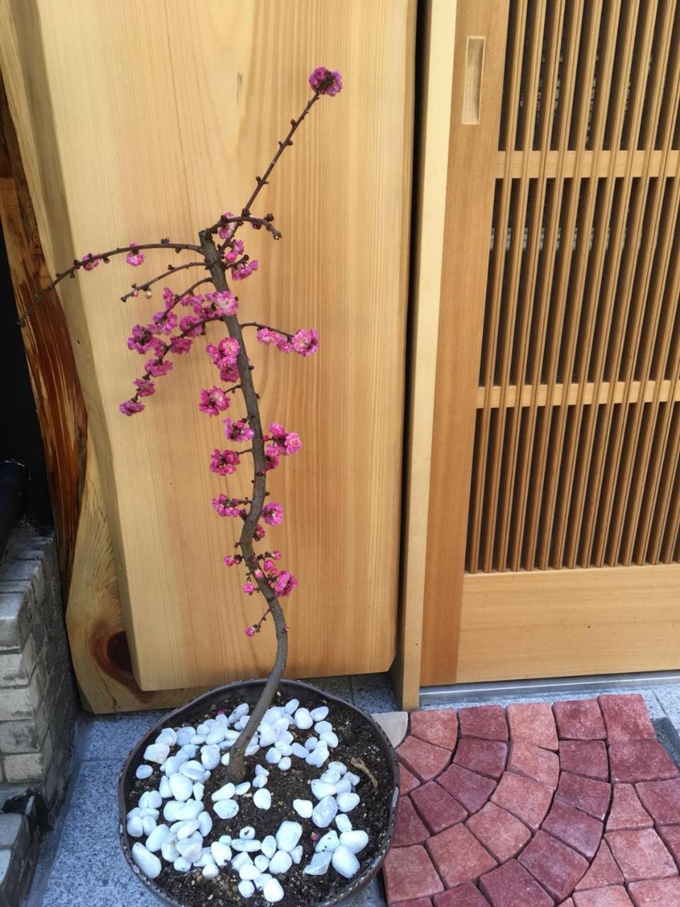 美築八坂 Apartment Kyoto Luaran gambar